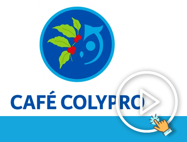 play_cafe_colypro-2